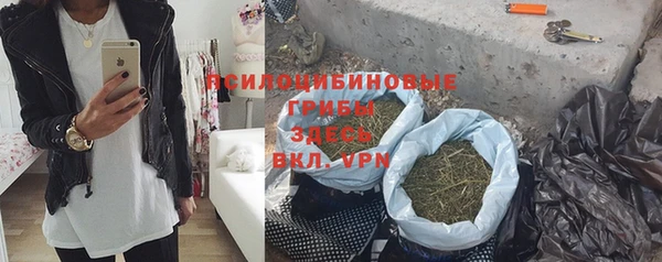 соль ск Алексеевка