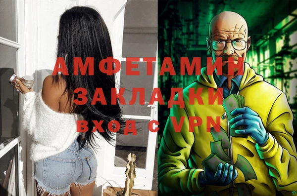 дживик Абаза